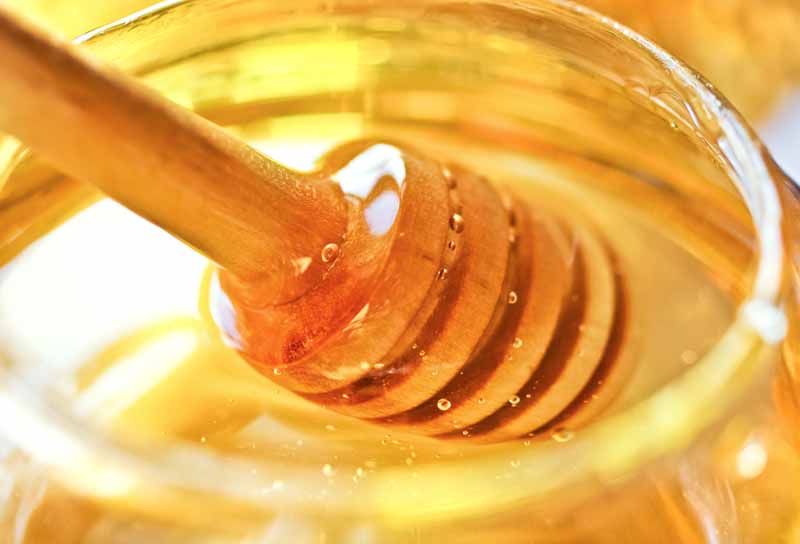عکس لارج فرمت از قاشق عسل