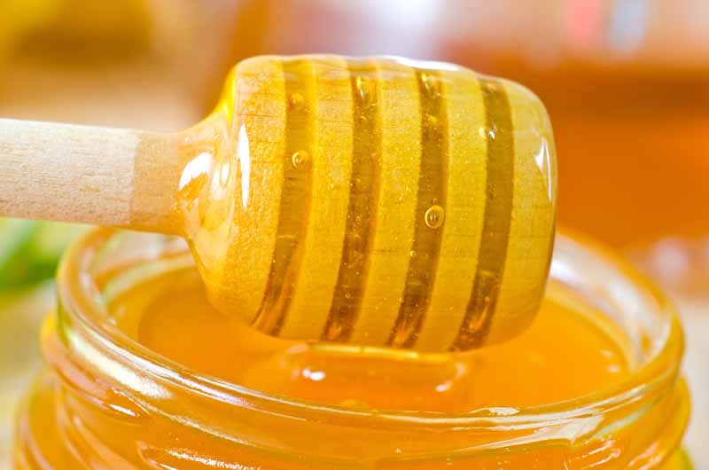 عکس لارج فرمت از عسل