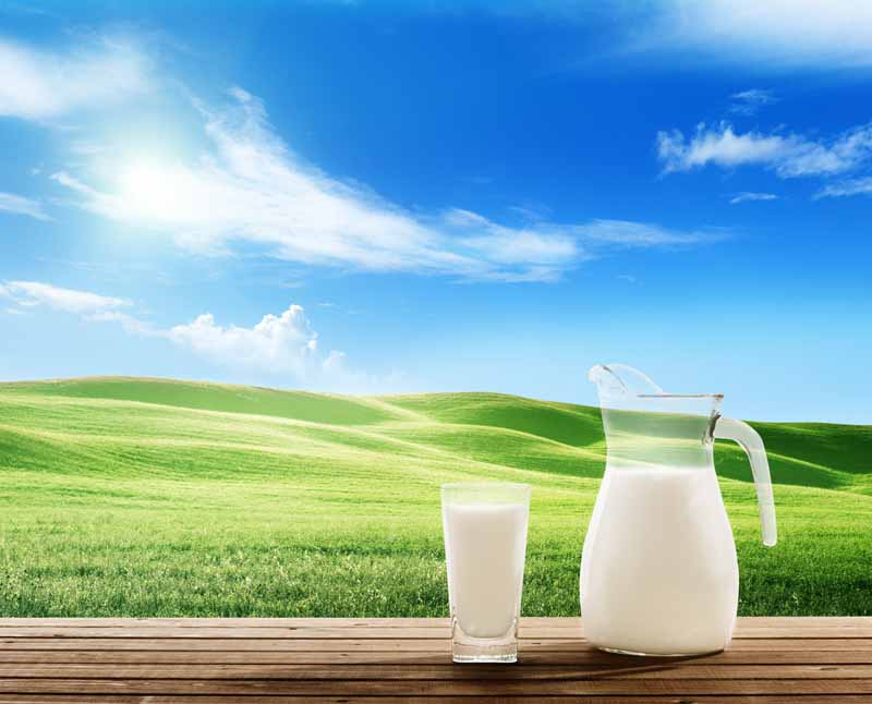 عکس با کیفیت از پارچ و طبیعت