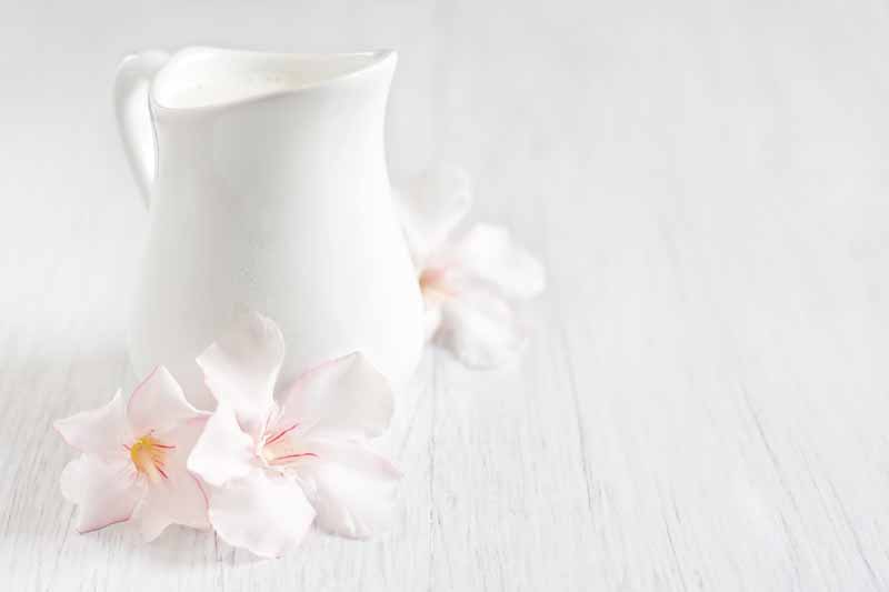 عکس با کیفیت از پارچ چینی و شیر