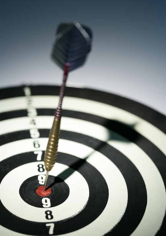 عکس با کیفیت سوزن مشکی در دارت
