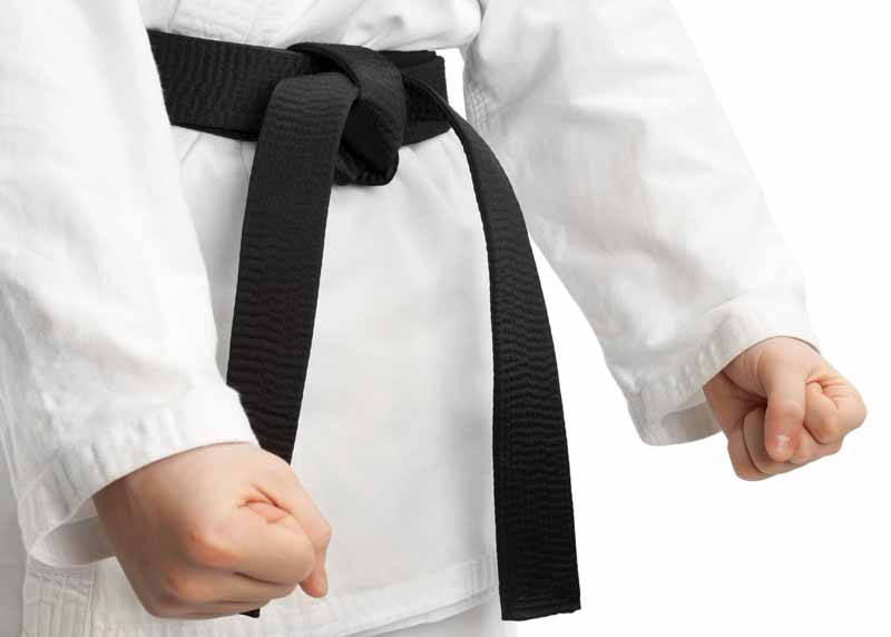 عکس زیبا از ادای احترام رزمی کار