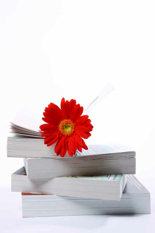 تصویر زیبا از گل قرمز روی کتاب ها