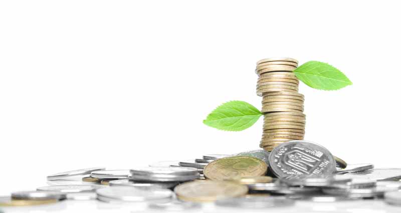 عکس با کیفیت از سکه ها و برگ
