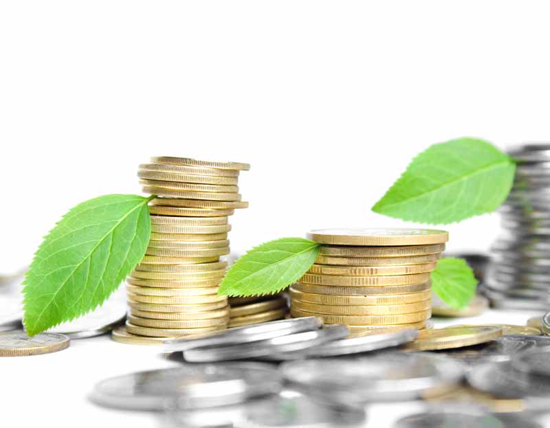 عکس با کیفیت از سکه ها و برگ دار