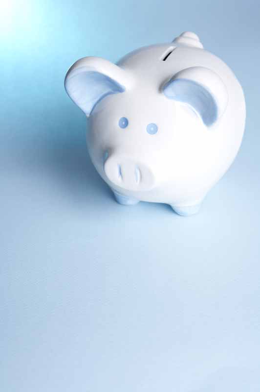 عکس با کیفیت از قلک خرسی
