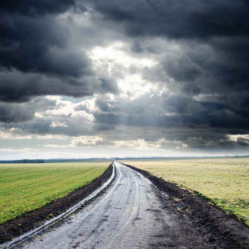 تصویر باکیفیت از جاده خاکی میان مزارع