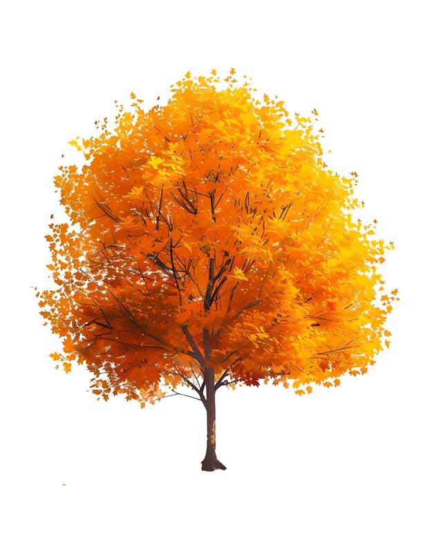 دانلود طرح درخت پاییزی