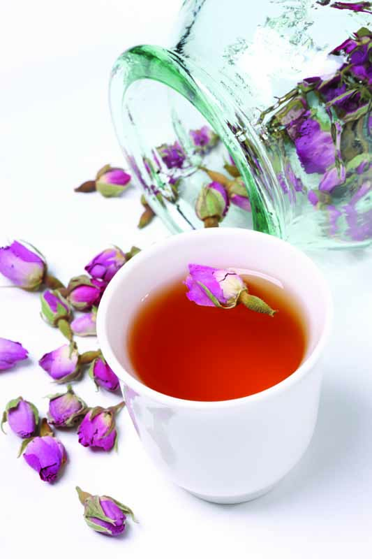 عکس لارج فرمت از دمنوش گل رز