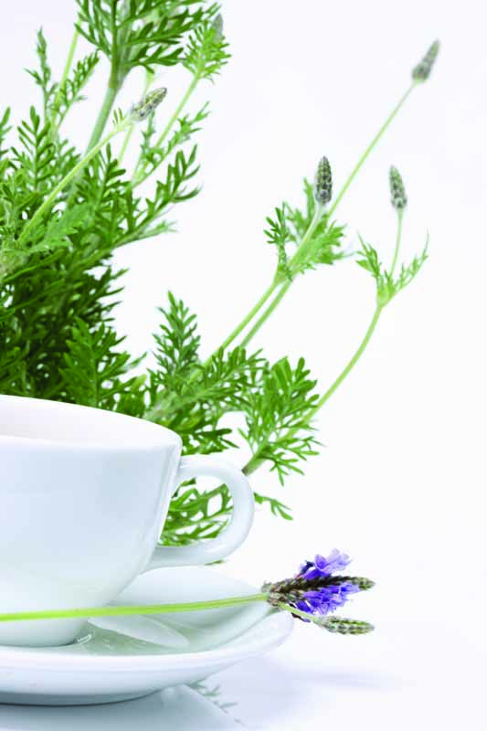 عکس لارج فرمت از فنجان و نعلبکی