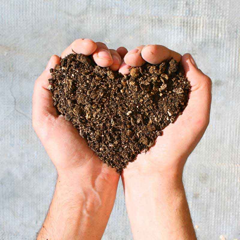 دانلود عکس قلب خاکی