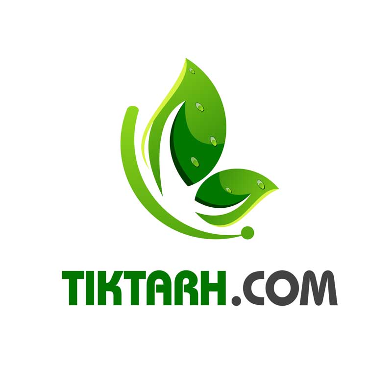 دانلود لوگوی لایه باز دو تا برگ سبز