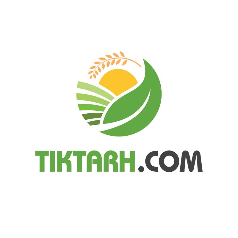 دانلود لوگوی لایه باز برگ و خورشید