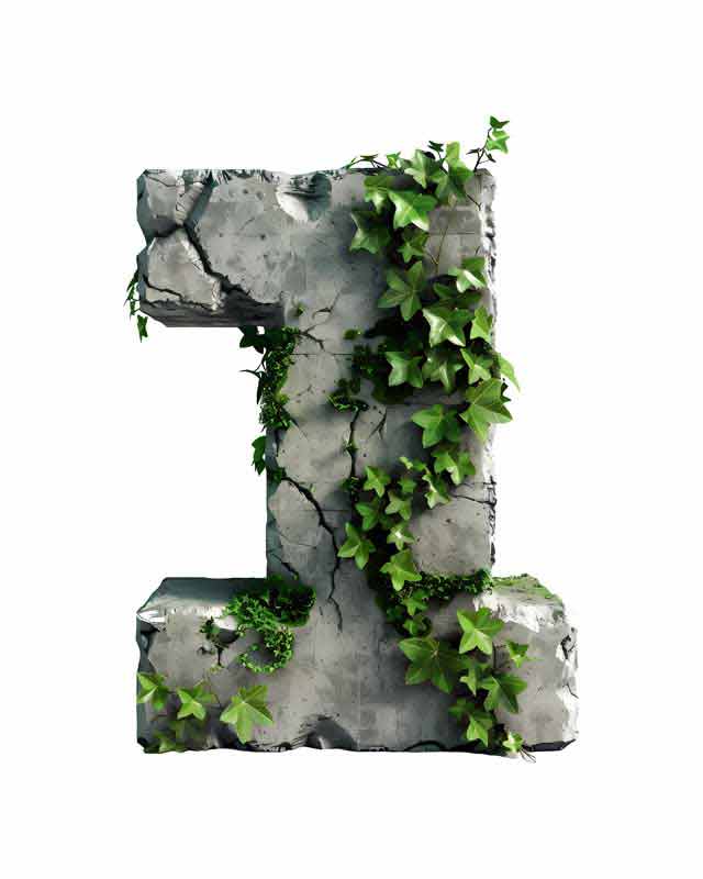 دانلود طرح شماره 1