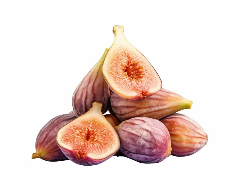 دانلود طرح انجیر تازه
