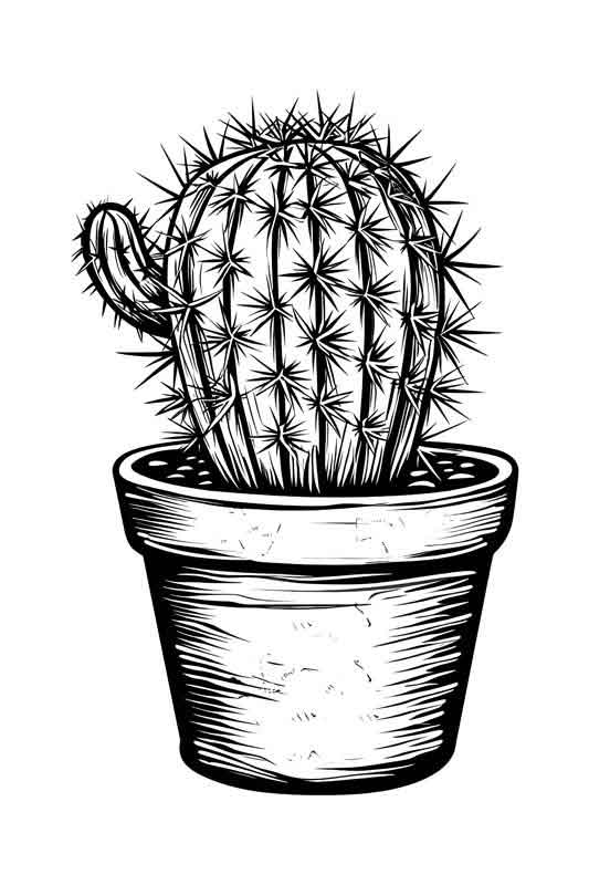 دانلود طرح کاکتوس