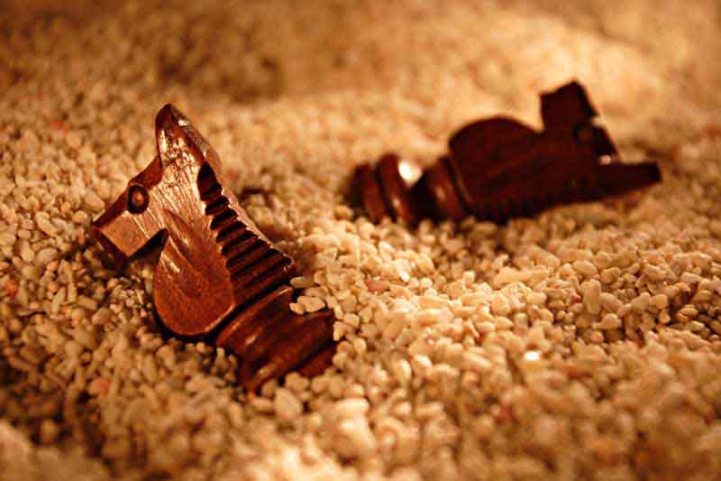 عکس لارج فرمت از مهره های اسب شطرنج