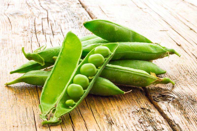 تصویر زیبا از نخود سبز روی چوب