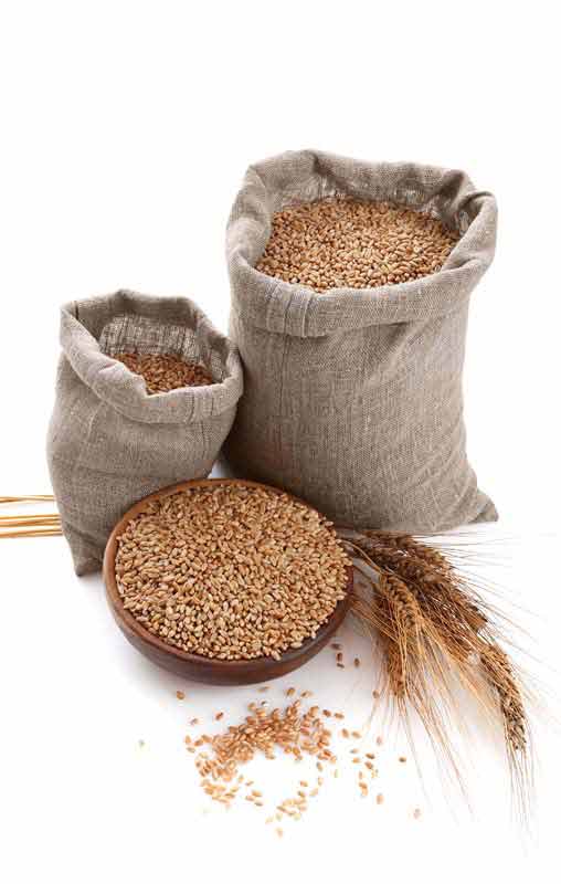 عکس با کیفیت از گونی و کاسه گندم