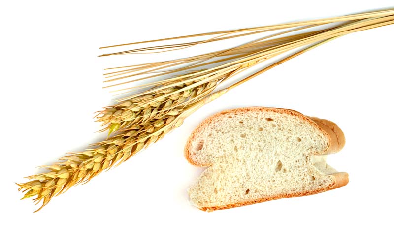 عکس با کیفیت از گندم و نان تست