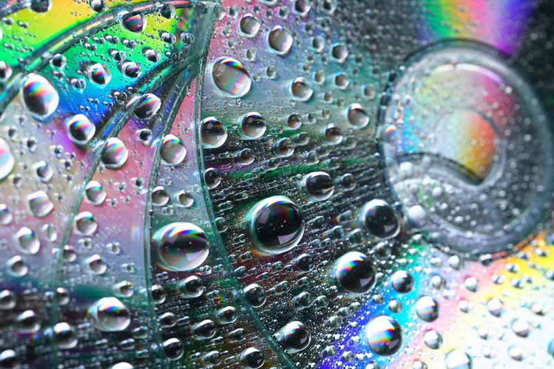 تصویر زیبا از دی وی دی های خیس